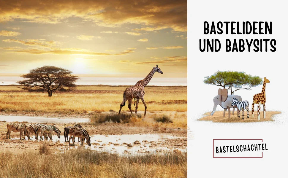 Bastelideen von Babysits - Bastelschachtel