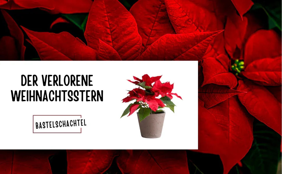 Der verlorene Weihnachtsstern - Bastelschachtel