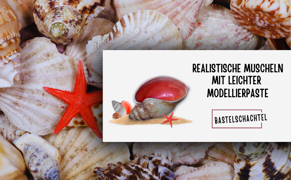 Realistische Muschel mit leichter Modellierpaste - Bastelschachtel