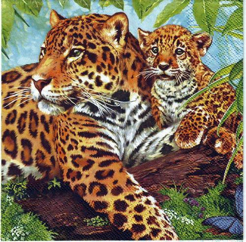 Tiere