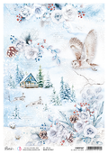Rice Paper A4 All About The Arctic