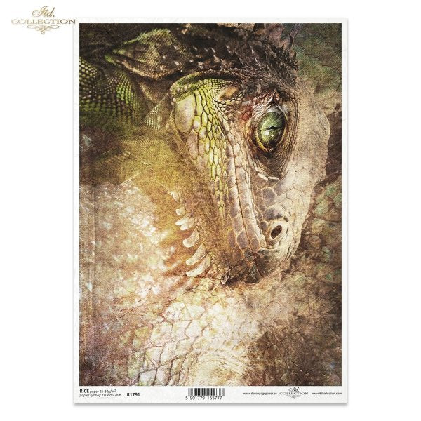 Papier ryżowy (HS code 48021000) R1791