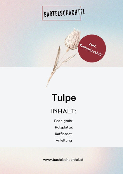 Bastelset aus Peddigrohr - Tulpe