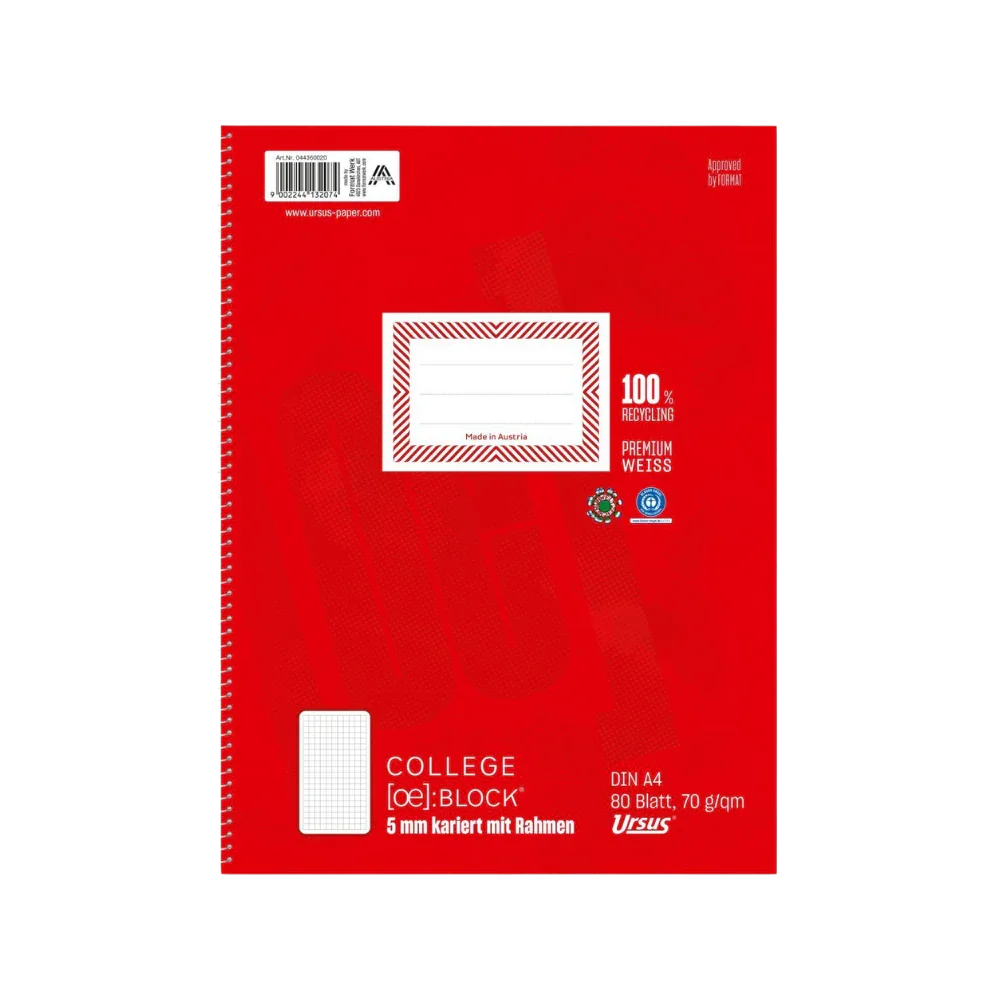 Format Kollegeblock A4/80 kar. - Bastelschachtel - Schule - 4436-20