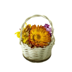 Korbboden Set rund, Ø 11cm für Peddigrohr 3mm - 10St. - Bastelschachtel - Korbböden/ Peddigrohr - BAS-BUND-KORR-11-3