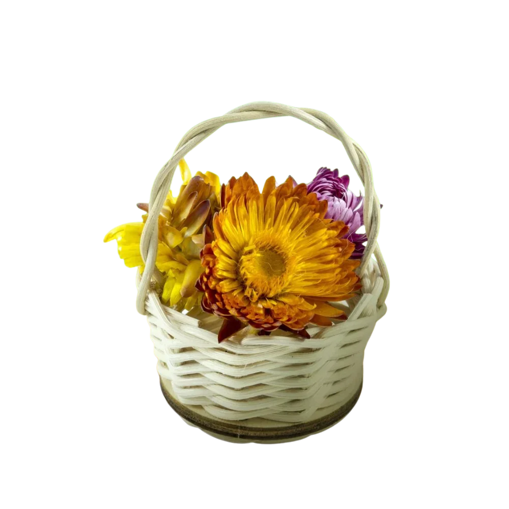 Korbboden Set rund, Ø 11cm für Peddigrohr 3mm - 10St. - Bastelschachtel - Korbböden/ Peddigrohr - BAS-BUND-KORR-11-3