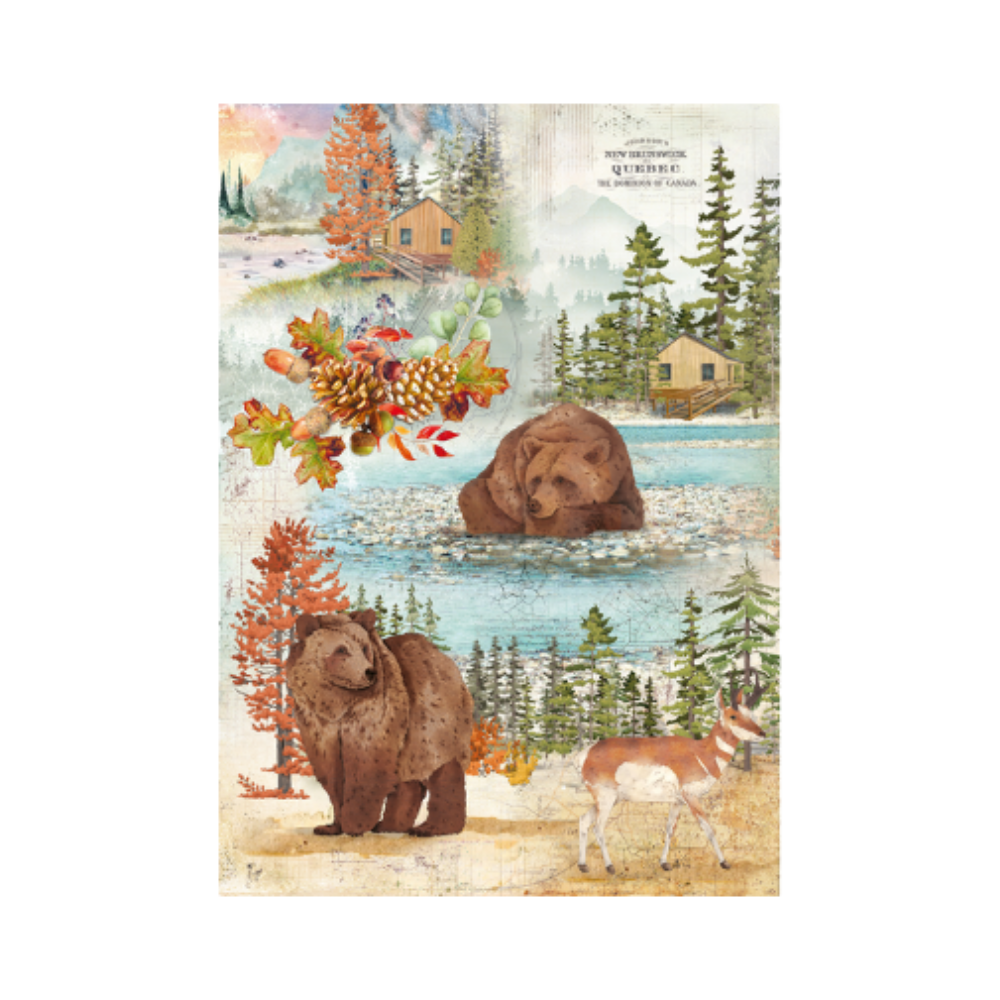 Reispapier A4 - Into the wild - Hardwood forest