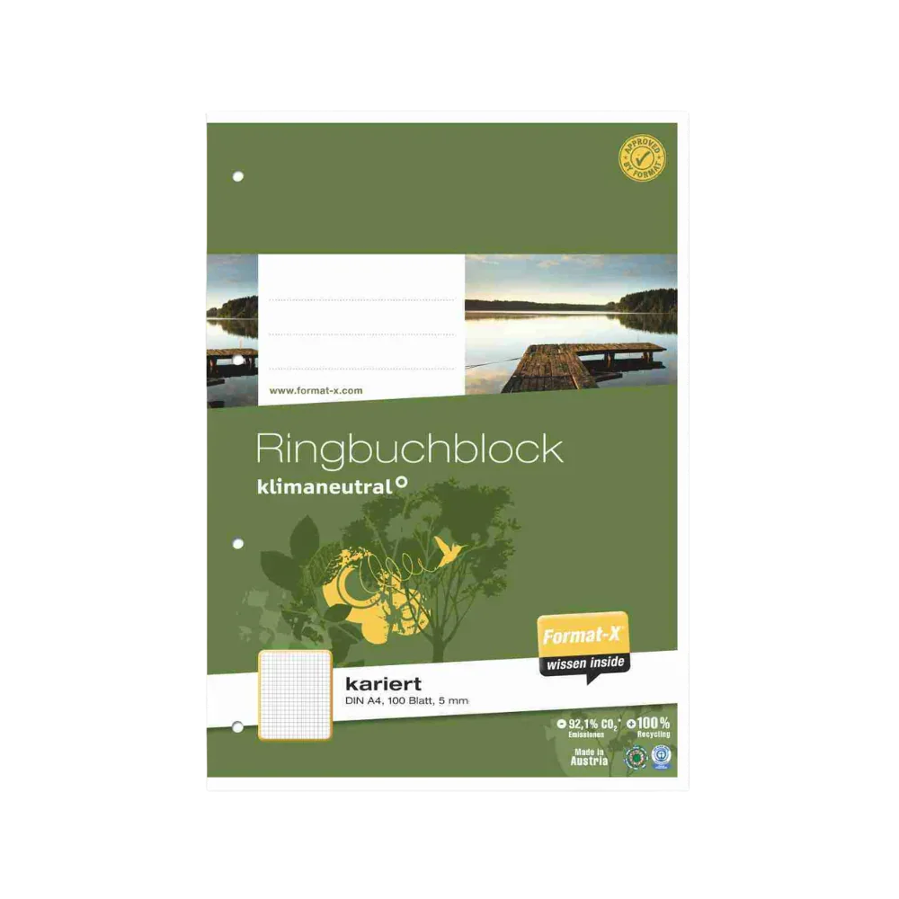 Ringbuchblock A4/100 kar. - Bastelschachtel - Schule - 1402