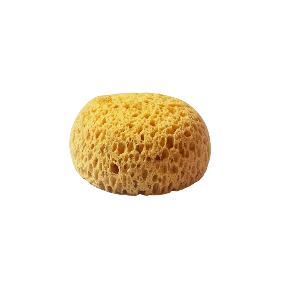 Schwamm - Bastelschachtel - - 