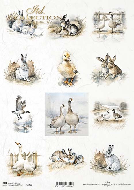 Reispapier A4 - Hase und Ente
