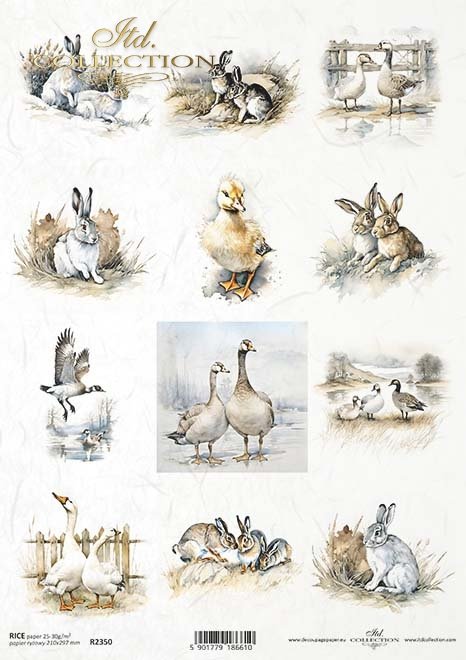 Reispapier A4 - Hase und Ente