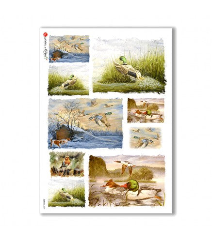 ANIMALS-0079. Animals Rice Paper for decoupage.