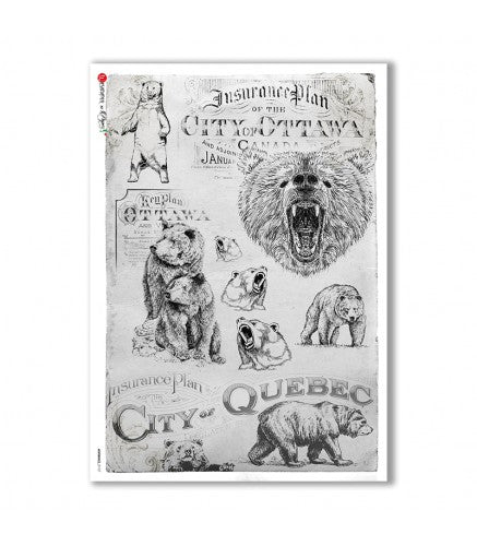 ANIMALS-0107. Animals Rice Paper for decoupage.