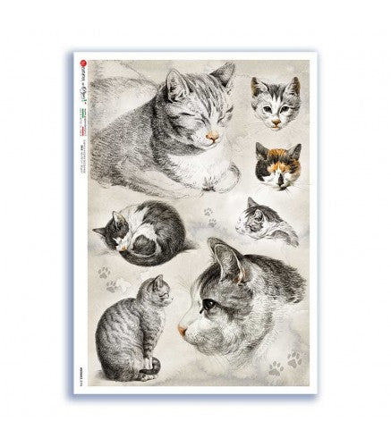 ANIMALS-0196. Animals Rice Paper for decoupage.