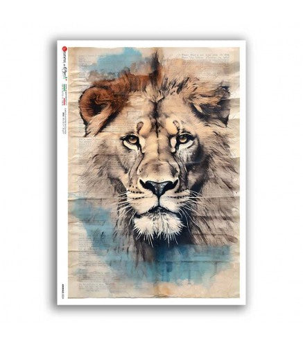 Reispapier A3 - Lion portrait