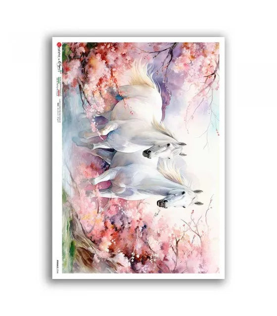 Reispapier Lipizzaner Pferde A5 oder A4