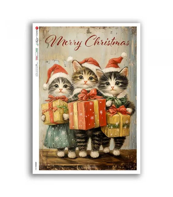 Reispapier Katze Weihnachten A5 oder A4