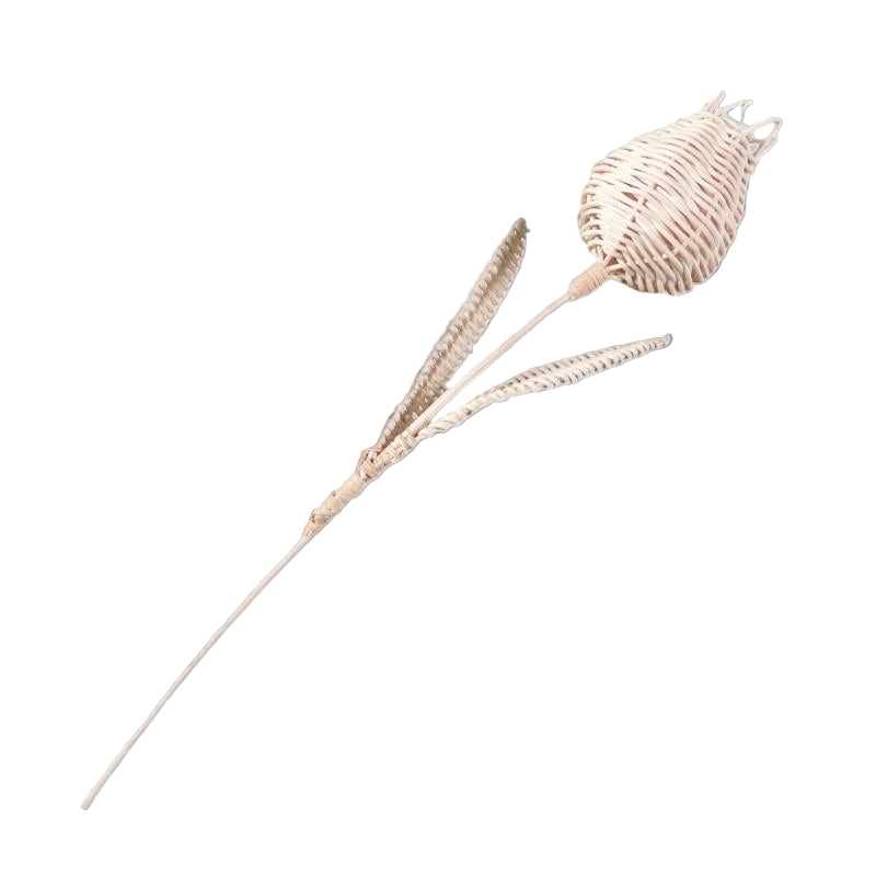 Bastelset aus Peddigrohr - Tulpe