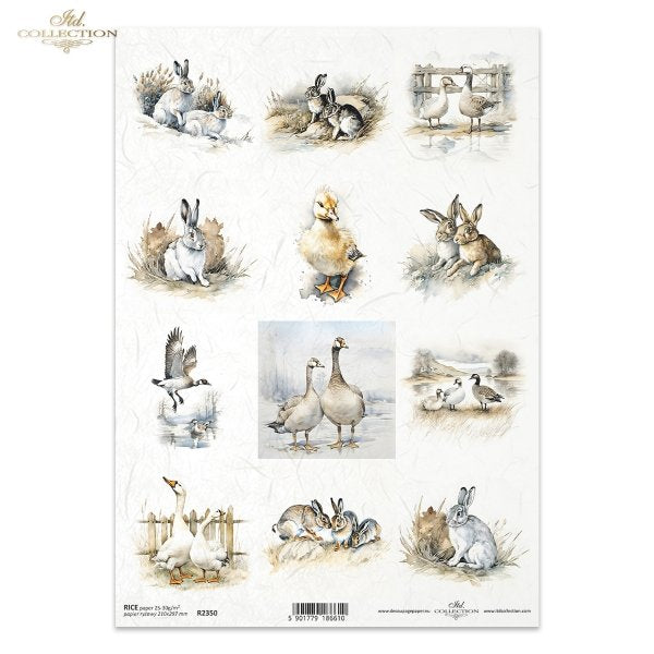 Reispapier A4 - Hase und Ente
