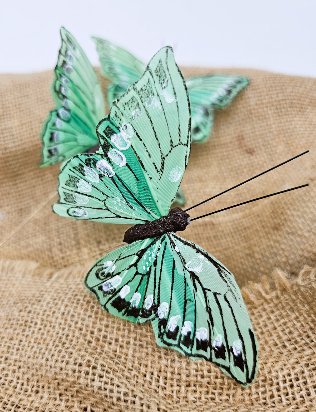 Deko-Schmetterlinge 9cm - Bastelschachtel