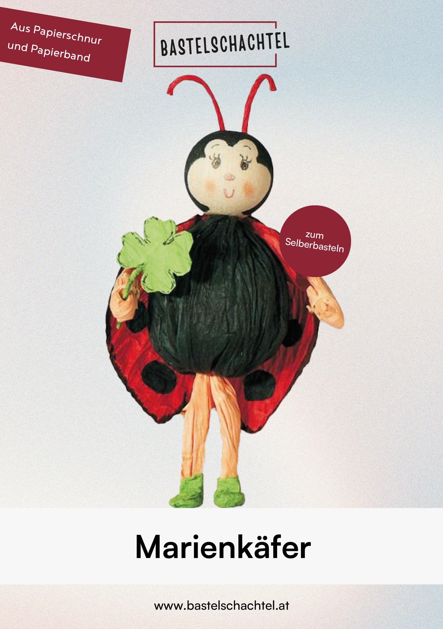 Papierband Set - Marienkäfer - Bastelschachtel