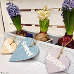 Pentart Dekor Paint Chalky Set 2x100ml - Set 4. - Bastelschachtel - Dekor Paint Chalky 100ml - PEN-BUND-CHAL4