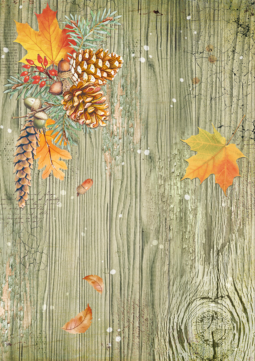 Reispapier A4 - Into the wild - Fallen leaves - Bastelschachtel