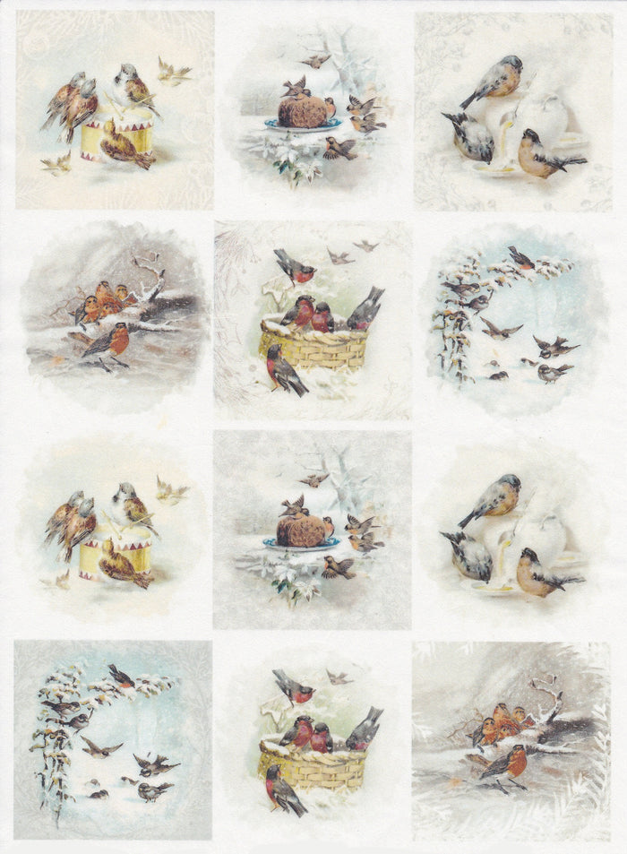 Reispapier A4 - Winter birds