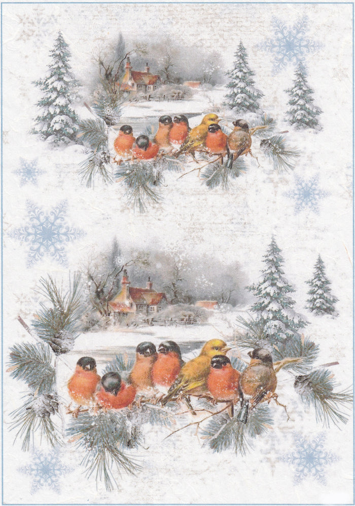 Reispapier A4 - Winter birds visit