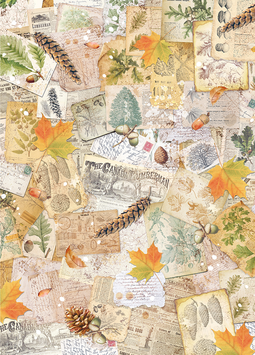 Reispapier in herbstlichen Farben mit Blätter, Briefe und Tannenzapfen