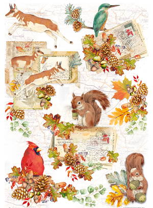 Reispapier mit vintage Briefen, Eichhörnchen, Vögel und herbstlichen Tannenzapfen und Blättern