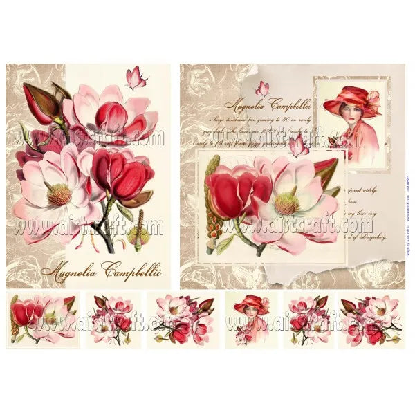 Reispapier 32x45cm -  Magnolia campbelli