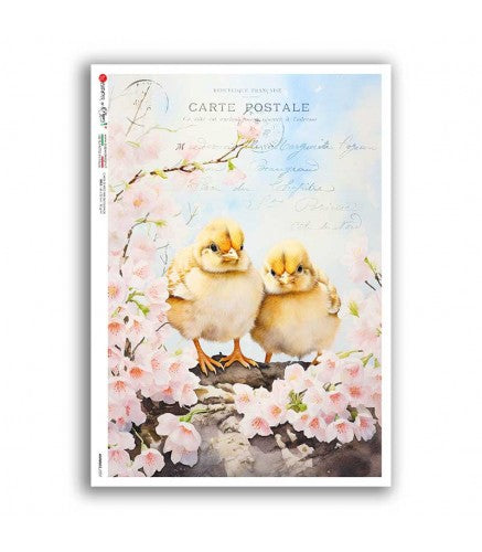 Reispapier Postkarte Küken 1 A5 oder A4
