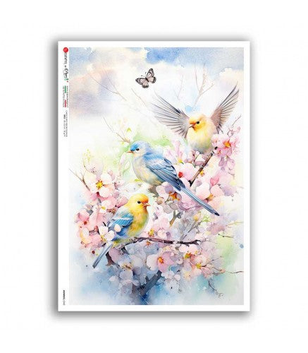 Reispapier Vögel Frühling _03 A5 oder A4
