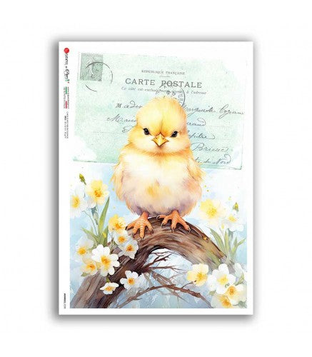 Reispapier Postkarte Küken 2 A5 oder A4