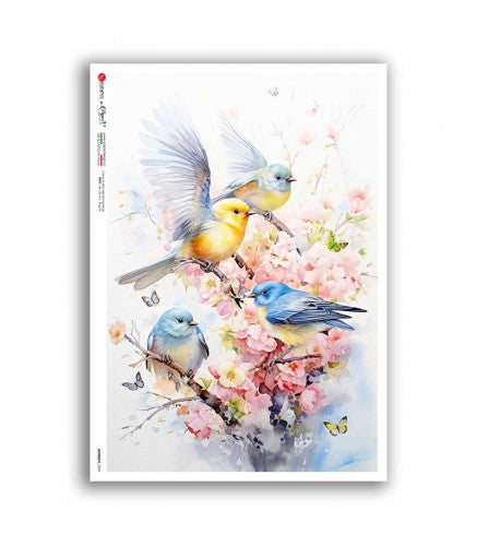 Reispapier Vögel Frühling _02 A5 oder A4