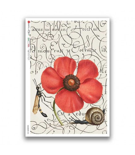 Reispapier Kalligraphie  Mohn A5 oder A4