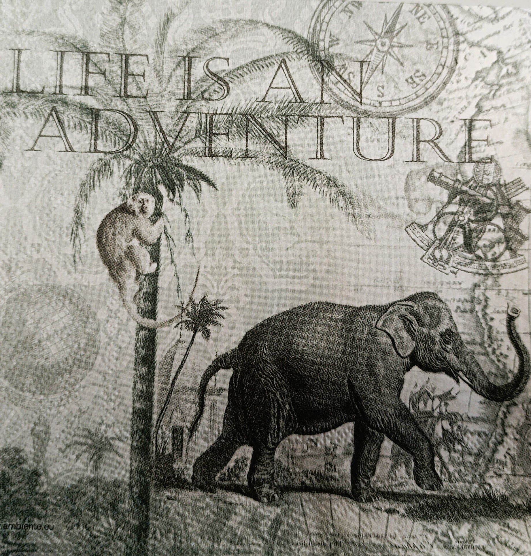 Serviette - Elephant - Bastelschachtel