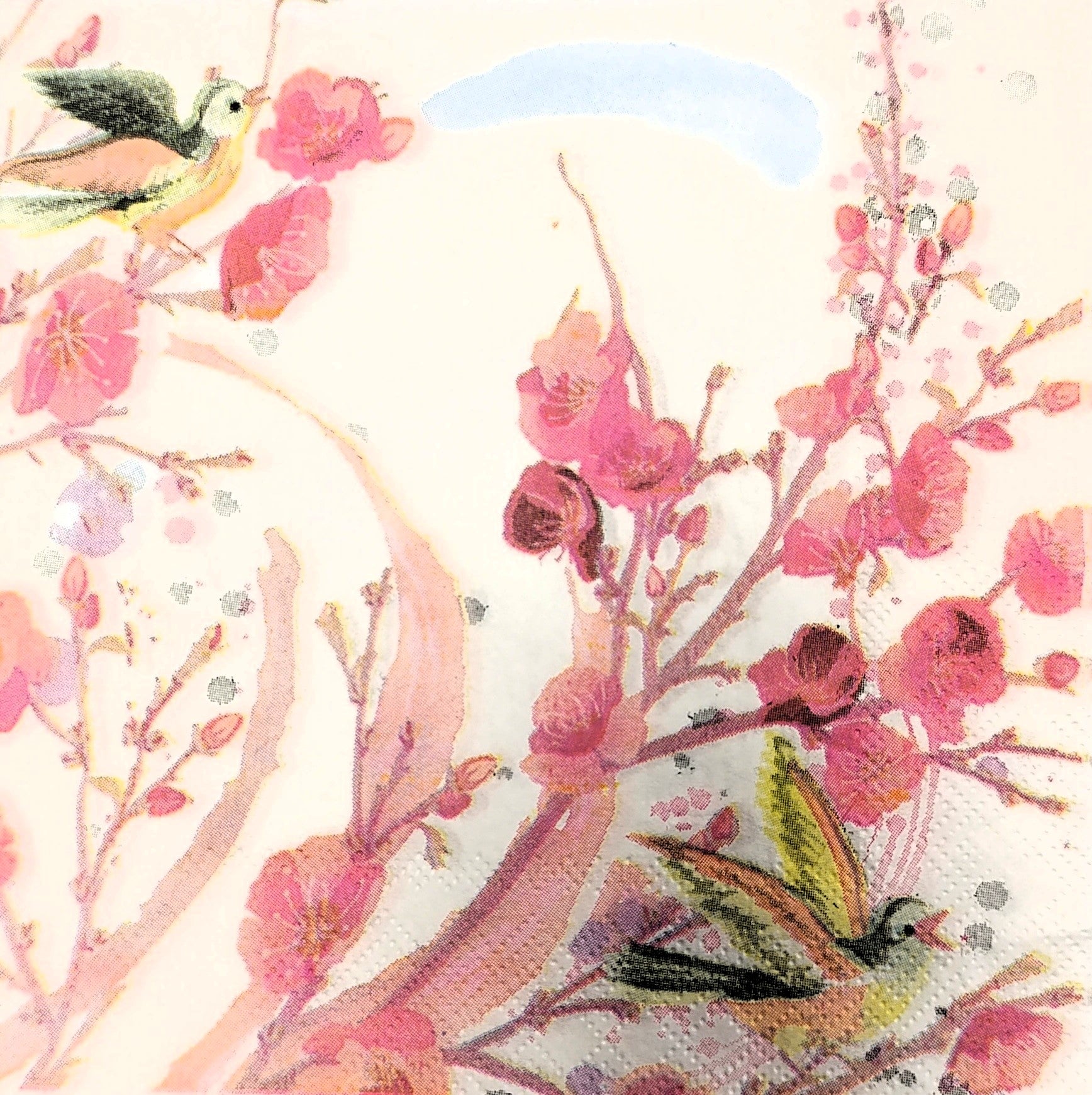 Serviette - Evelyn white - Bastelschachtel
