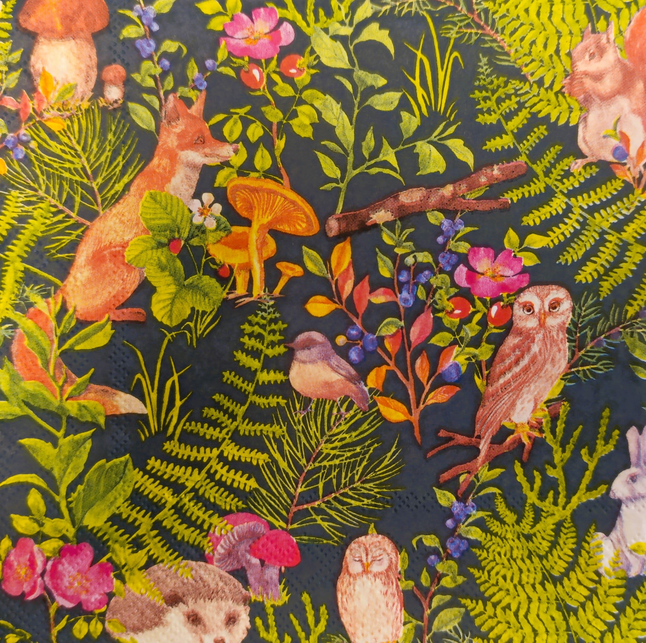 Serviette - Wild animals - Bastelschachtel