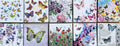 Servietten Set mit Decoupage-Kleber - Schmetterling - Bastelschachtel