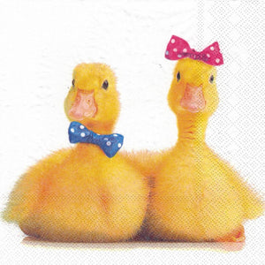 Serviette - Little ducks - Bastelschachtel - Serviette - Little ducks