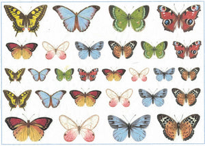 Reispapier A4 - Mixed butterflies - Bastelschachtel - Reispapier A4 - Mixed butterflies