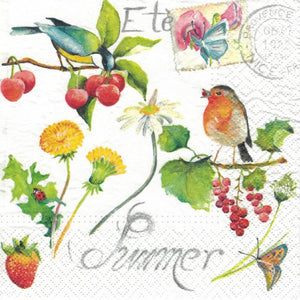 Serviette - Summer birds - Bastelschachtel - Serviette - Summer birds