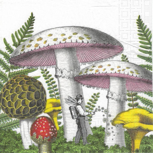 Serviette - Mushrooms - Bastelschachtel - Serviette - Mushrooms