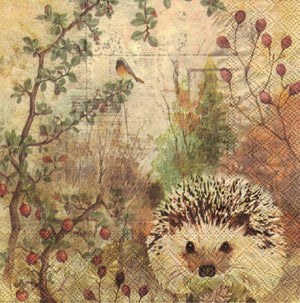 Serviette - Autumn hedgehog - Bastelschachtel - Serviette - Autumn hedgehog
