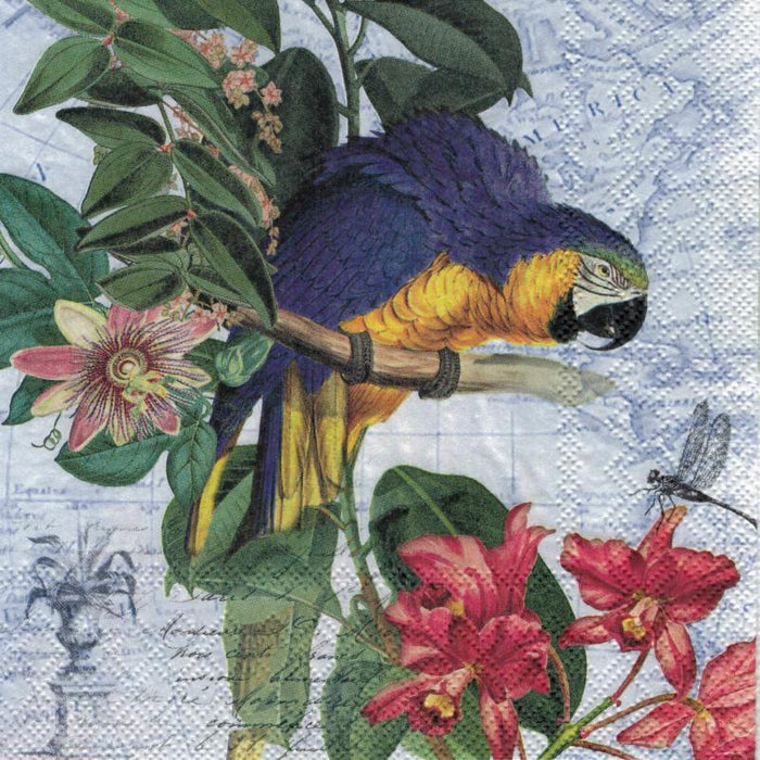 Serviette - Ara