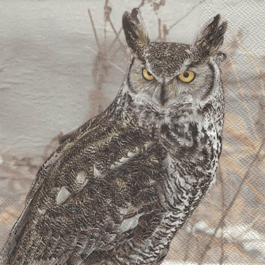 Serviette - Winter owl - Bastelschachtel - Serviette - Winter owl