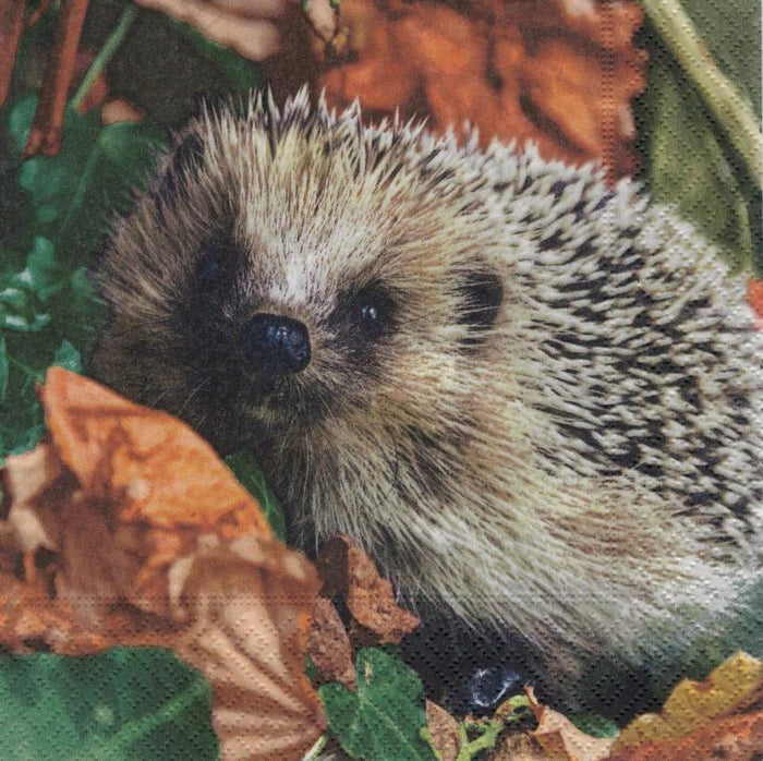 Serviette - Hedgehog in fall