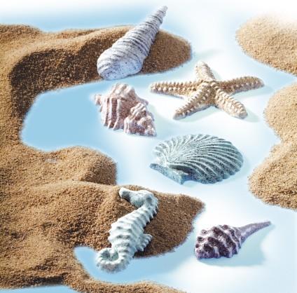 Gießform - Sea shells